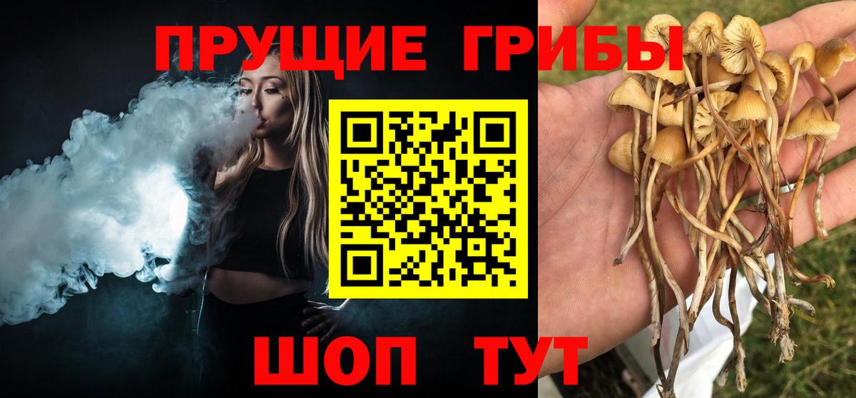 Галлюциногенные грибы MAGIC MUSHROOMS  как найти закладки  Уфа  Вход с VPN  Галлюциногенные грибы мицелий 